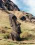  photo 17 Moai du Rano Raraku 